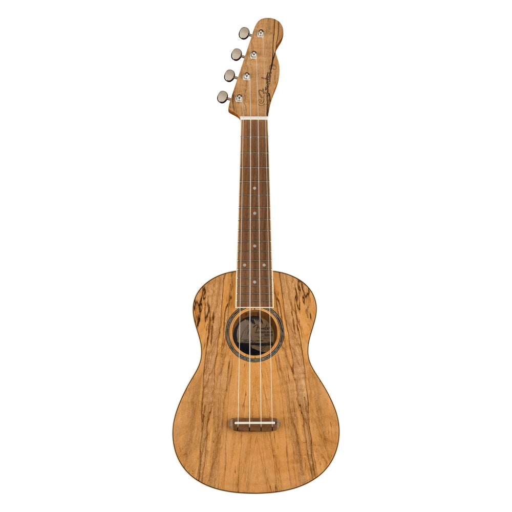 Fender 0970450594 Ukulele Zuma Exotic Concert Ukulele Spalted Maple