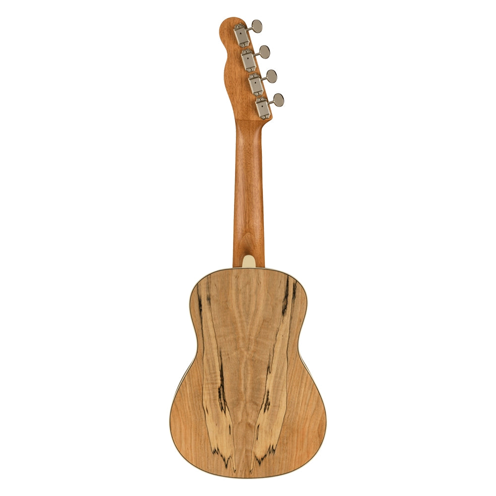 Fender 0970450594 Ukulele Zuma Exotic Concert Ukulele Spalted Maple