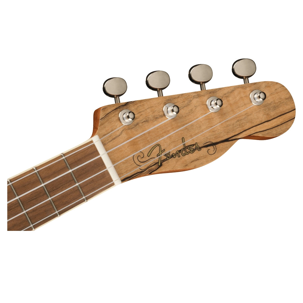 Fender 0970450594 Ukulele Zuma Exotic Concert Ukulele Spalted Maple