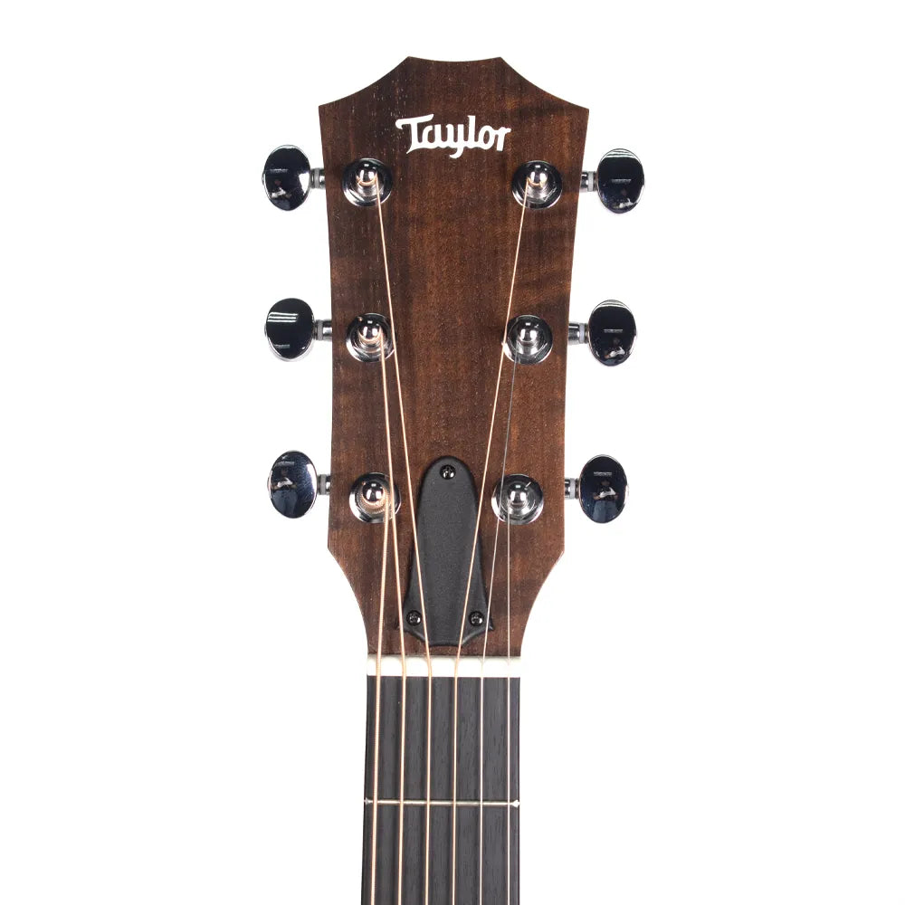 Taylor 24Ce Guitarra Electroacústica Sapele Mahogany
