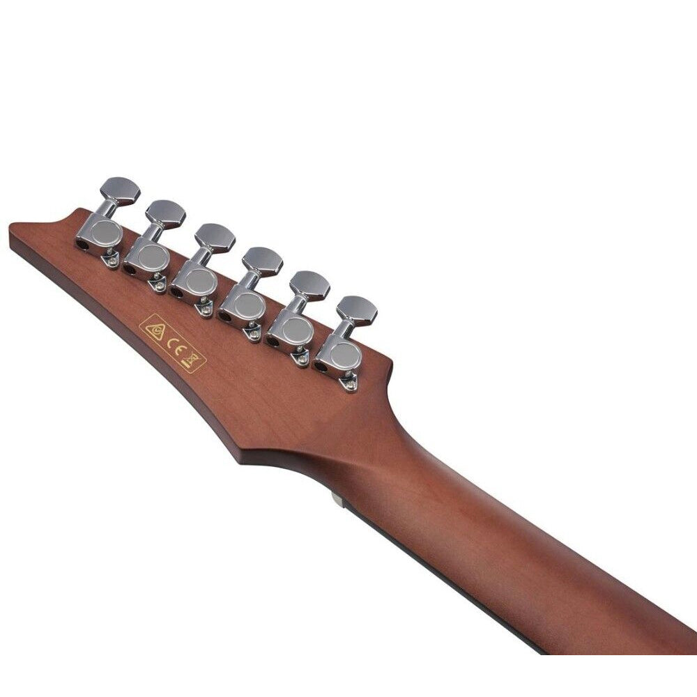 Guitarra Electroacústica Ibanez Alt20opn Altstar Caoba ALT20OPN