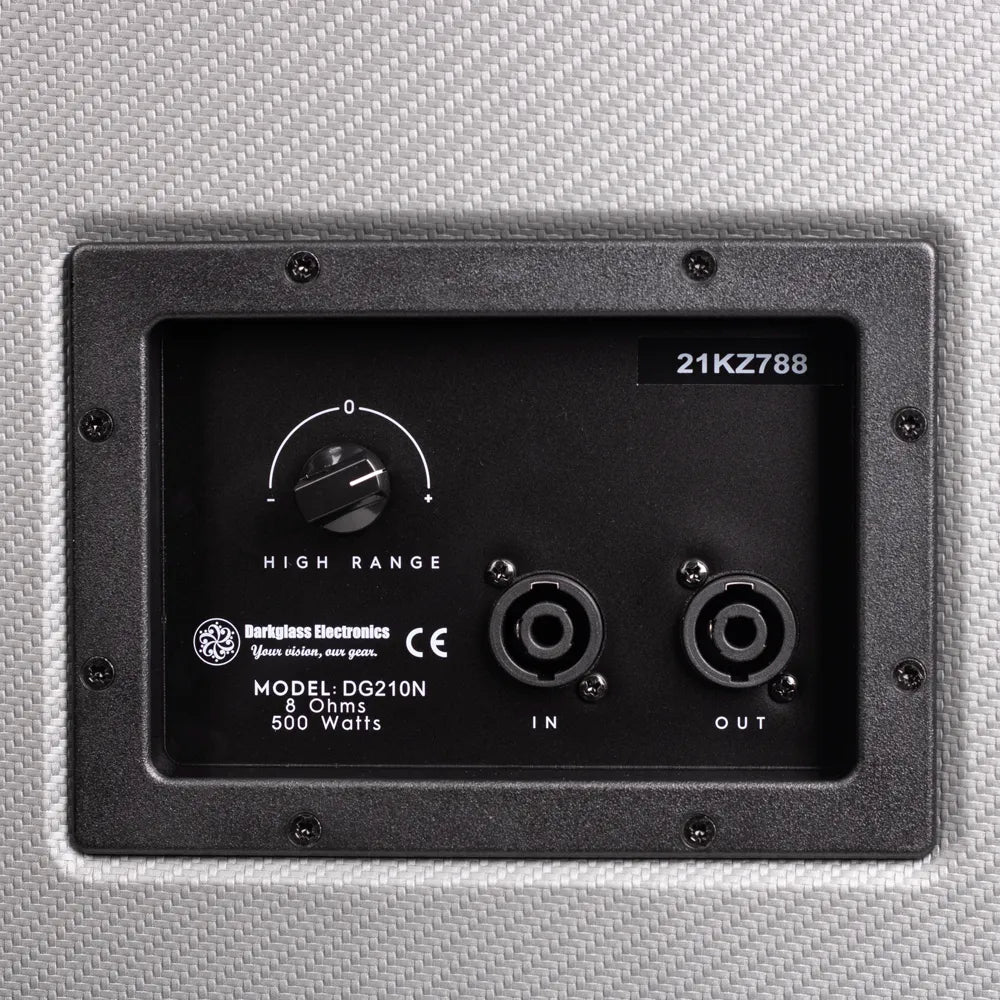 Darkglass DG210NE Gabinete Bajo Eléctrico Neo