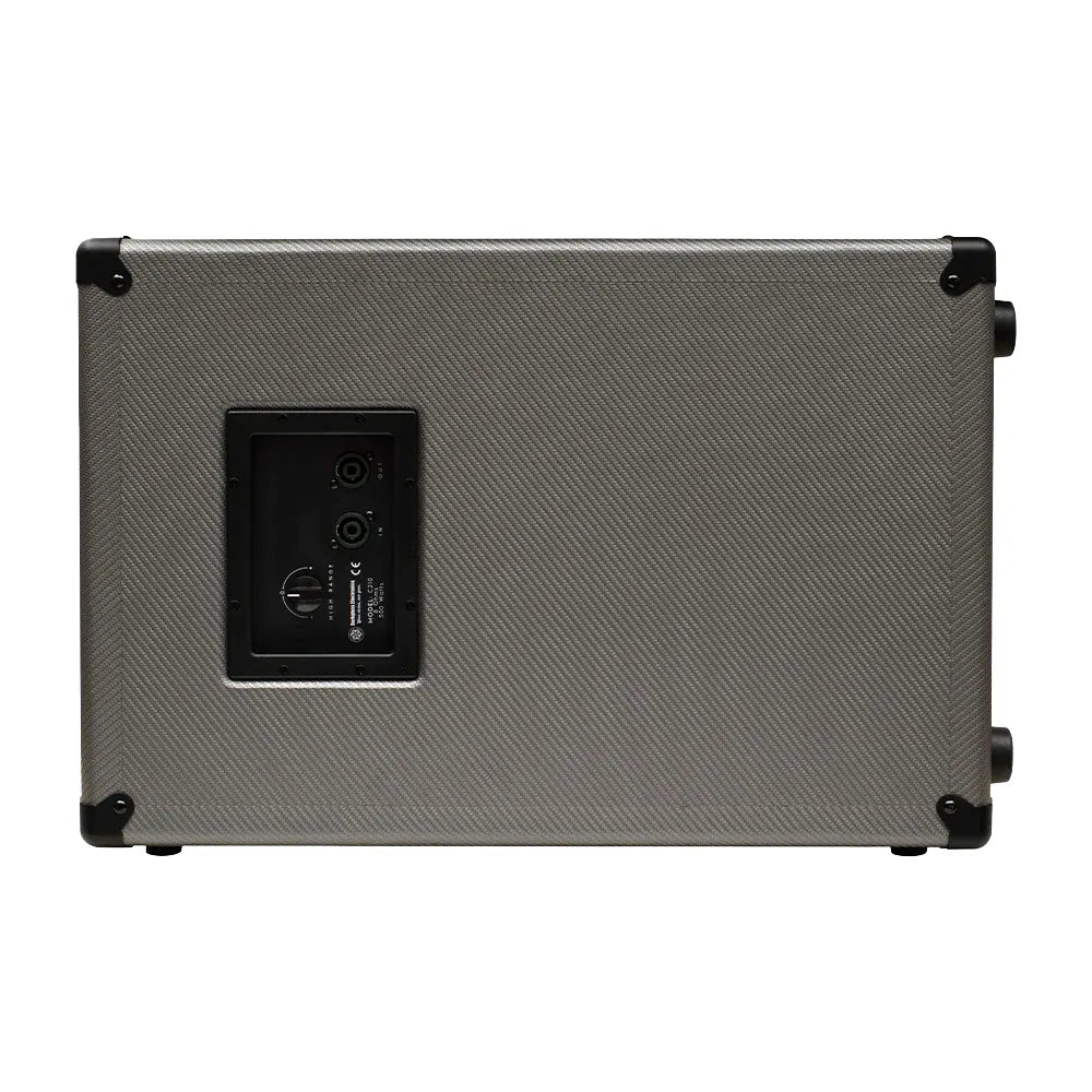 Darkglass DG210NE Gabinete Bajo Eléctrico Neo