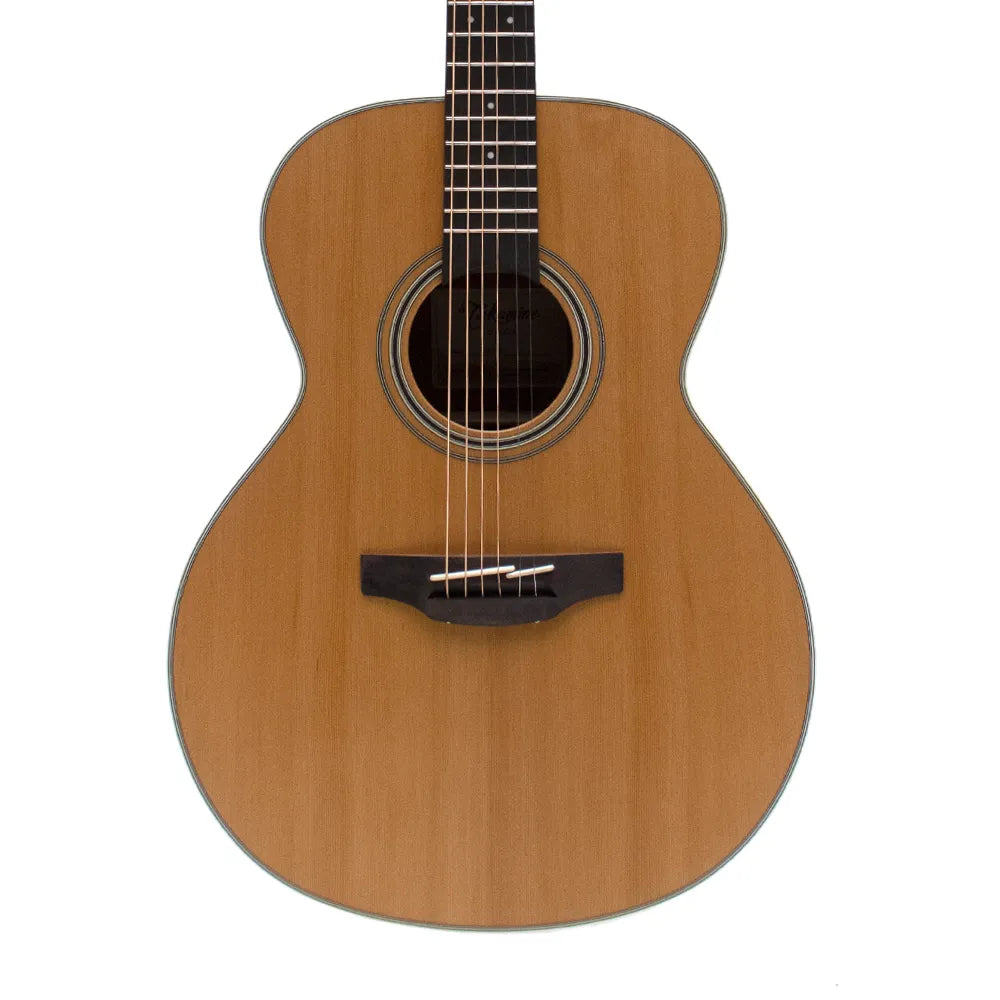 Takamine Guitarra Acústica Gn20ns