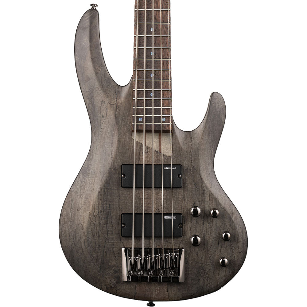 LTD B205 5 Cuerdas Spalted Maple Bajo Eléctrico LB205SMSTBLKS