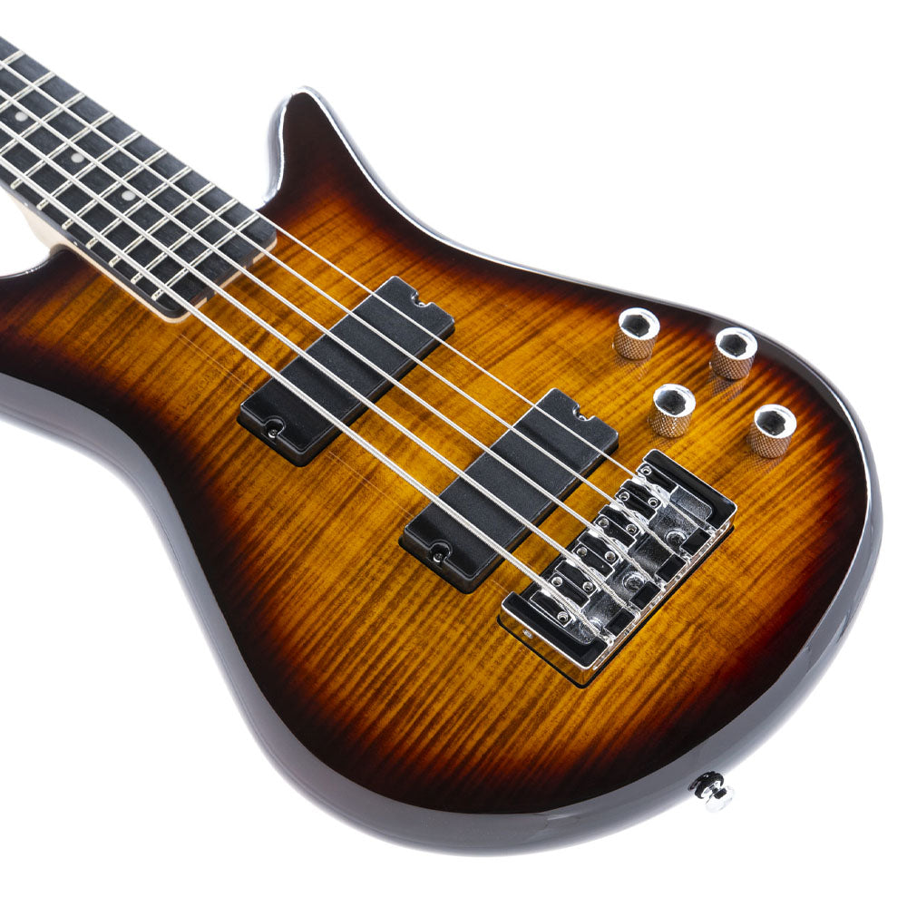 Bajo Eléctrico Spector Lg5sttsb Legend Tabacco Sunburst 5 Cuerdas