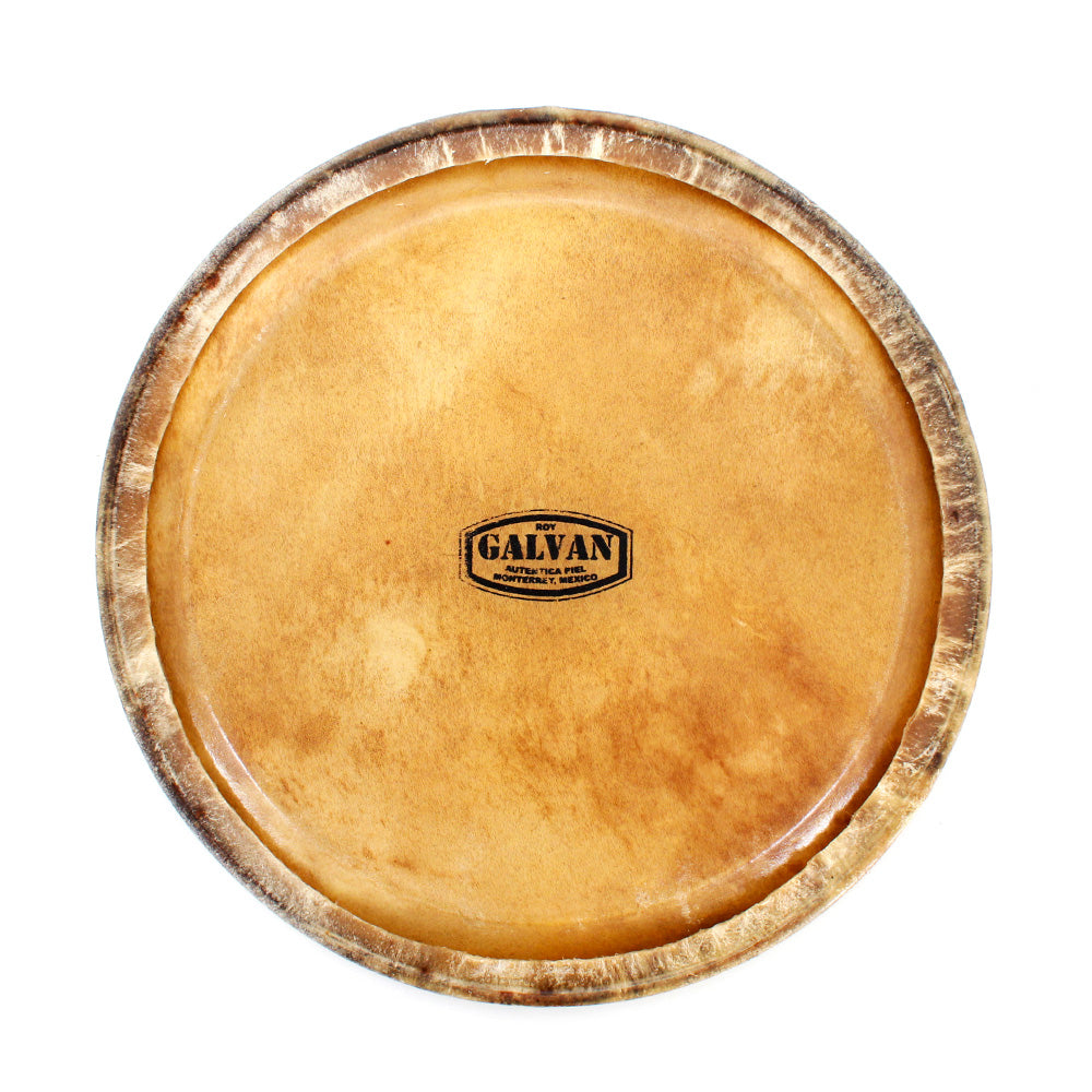 Parche Para Conga Natural Roy Galvan 12 1/2in VARIOS PCRG1212