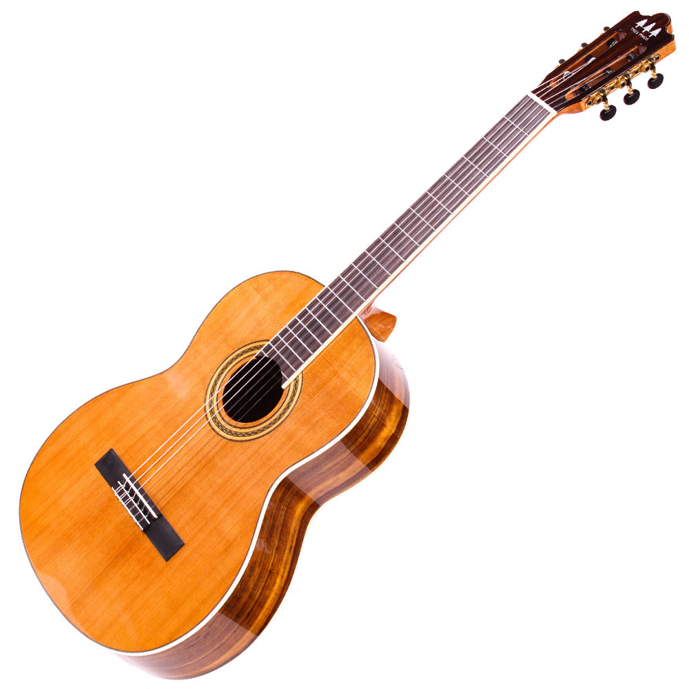 Guitarra Acústica Tres Pinos Tpcg0800nt Natural TPCG0800NT
