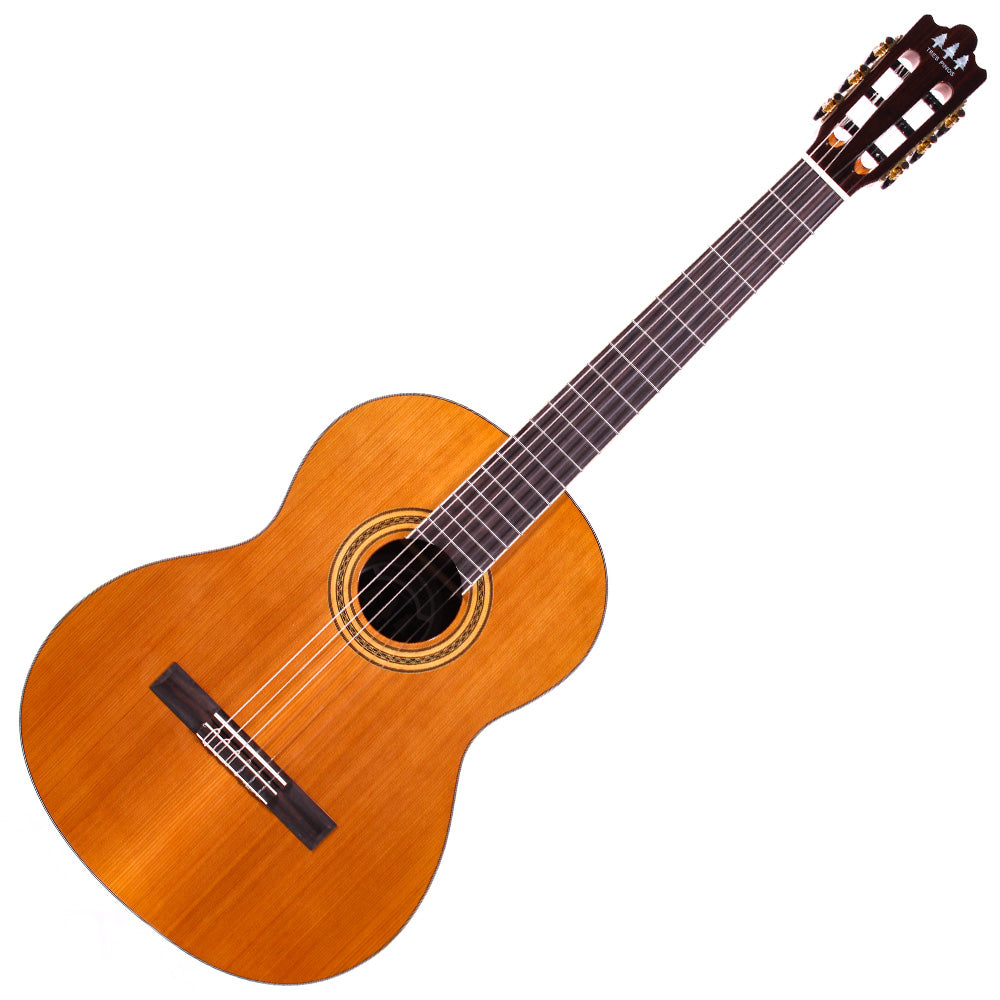 Guitarra Acústica Tres Pinos Tpcg0900nt Natural TPCG0900NT