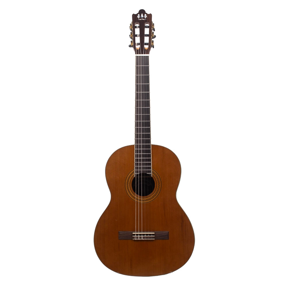 Tres Pinos TPCG0900NT Guitarra Acústica Natural