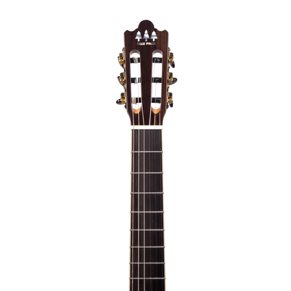 Tres Pinos TPCG0900NT Guitarra Acústica Natural