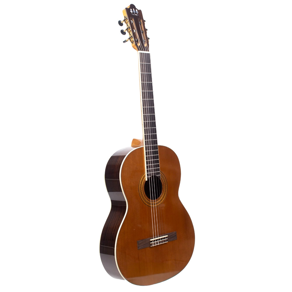 Tres Pinos TPCG0900NT Guitarra Acústica Natural