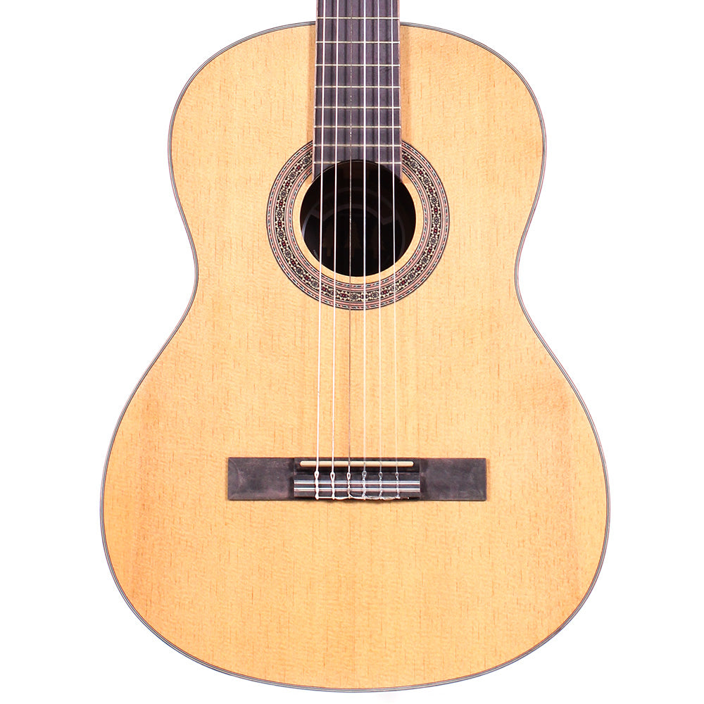 Guitarra Acústica Tres Pinos Tscg938n Natural TSCG938N