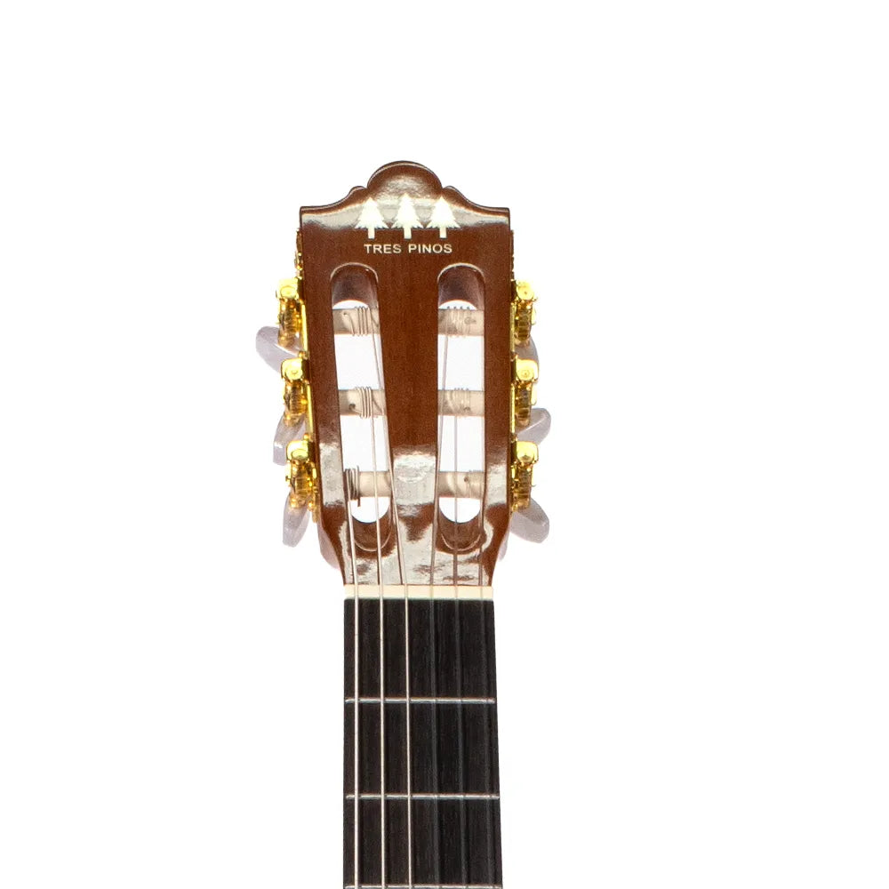 Tres Pinos Tpce0600nt Guitarra Electroacústica Natural