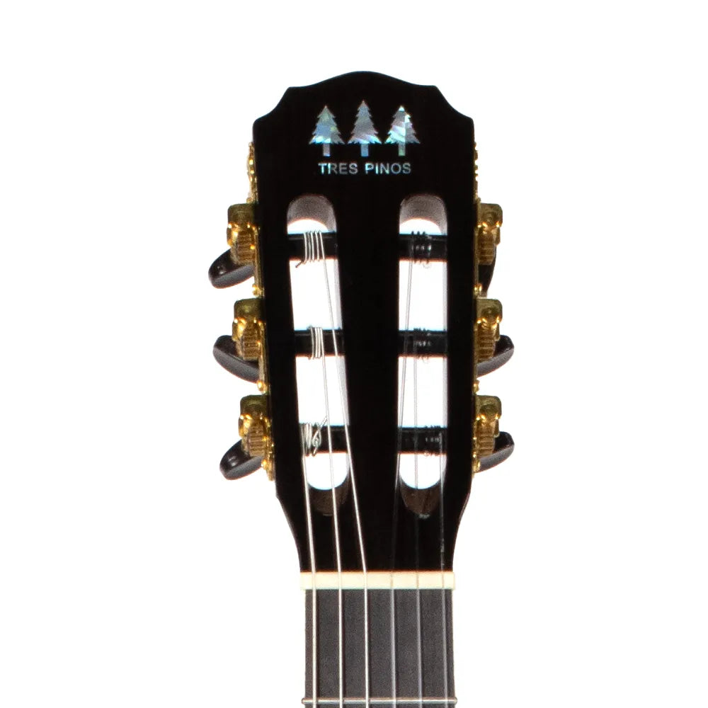 Tres Pinos Tpces0600bk Guitarra Electroacústica Negro Transparente