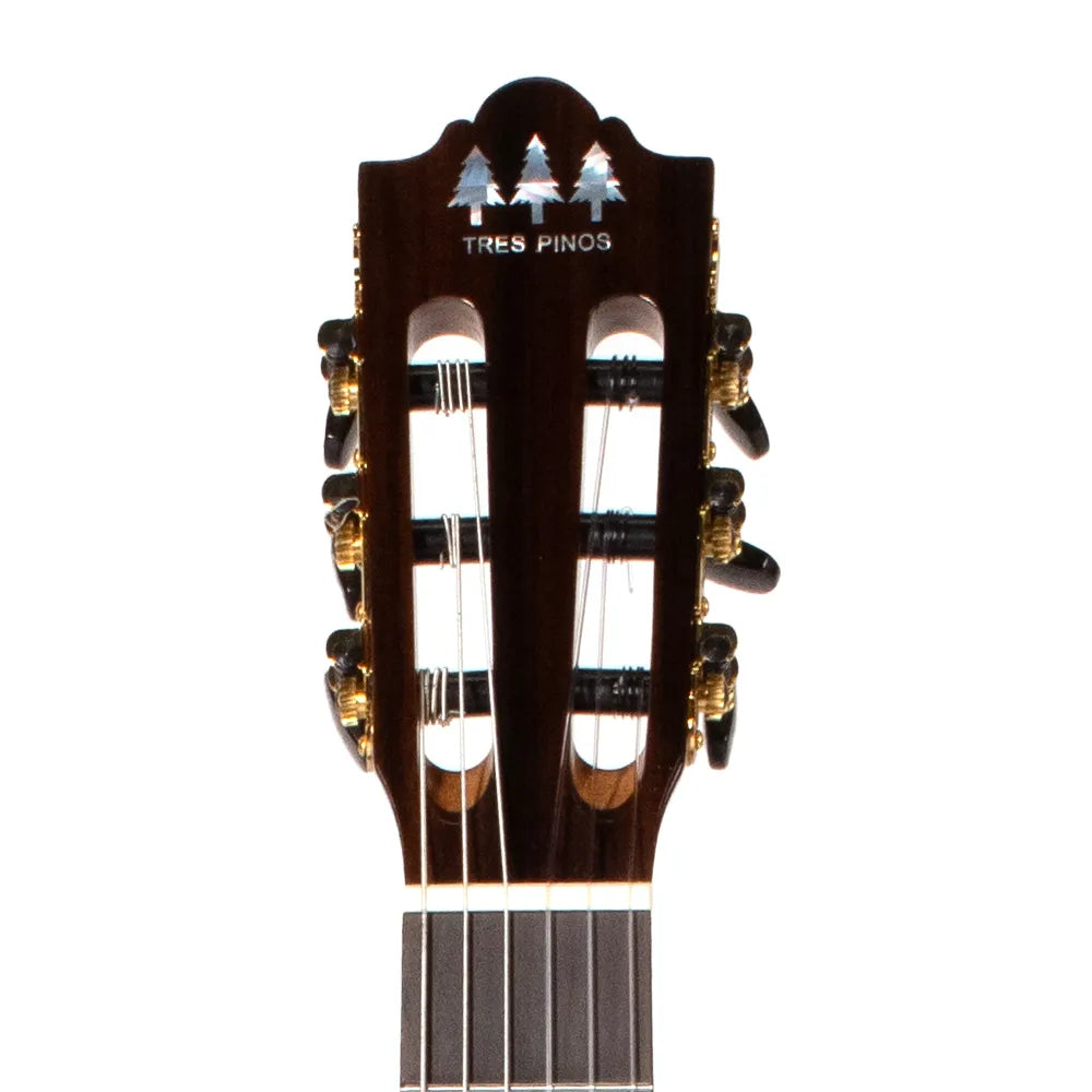 Tres Pinos Tpcg1000nt Guitarra Acústica Natural
