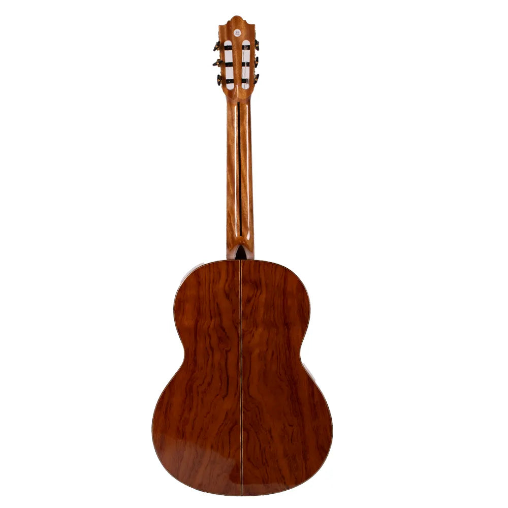 Tres Pinos Tpcg1000nt Guitarra Acústica Natural