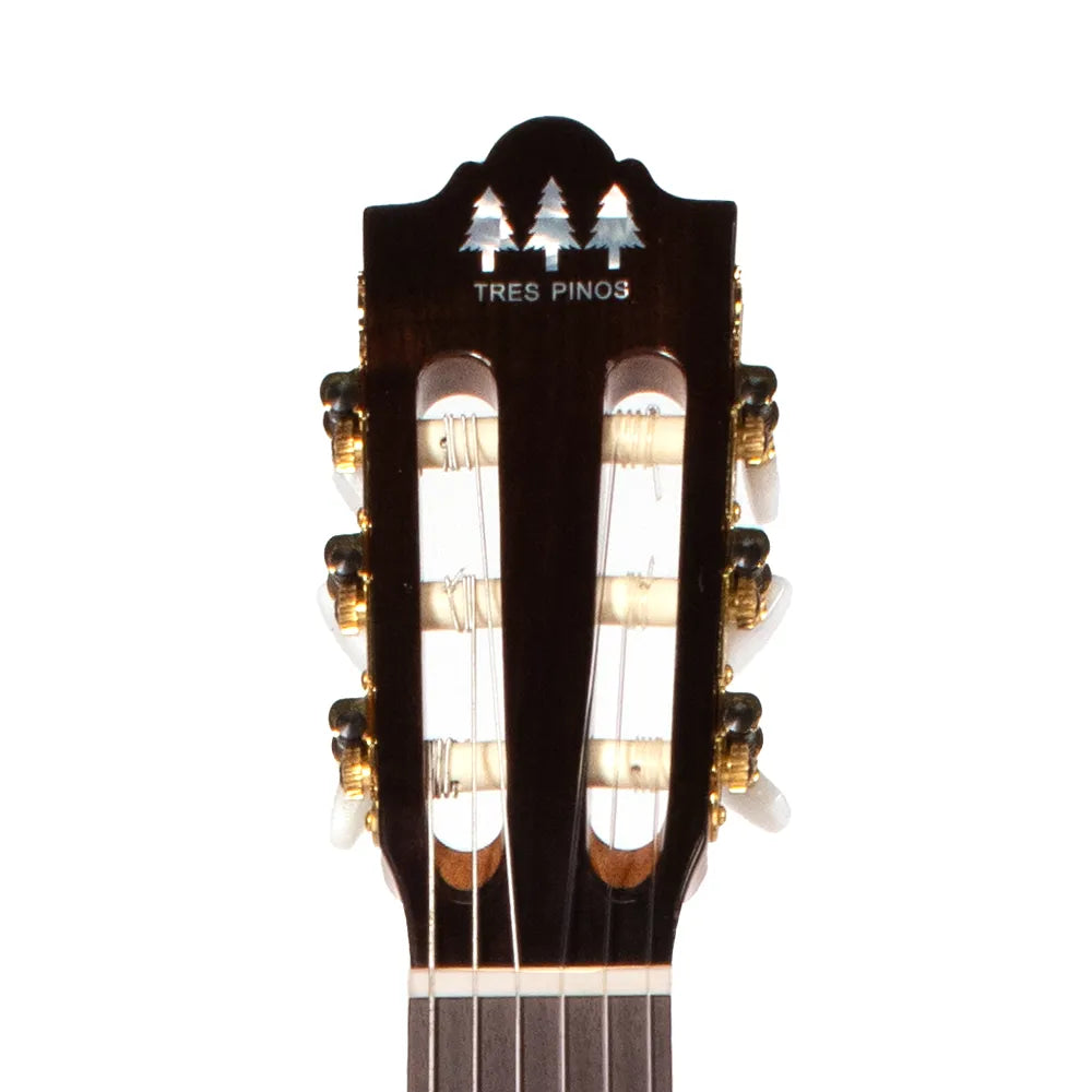 Tres Pinos Tpcg1300nt Guitarra Acústica Natural