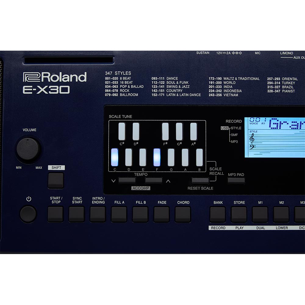 Teclado Roland Ex30 para Arreglista EX30