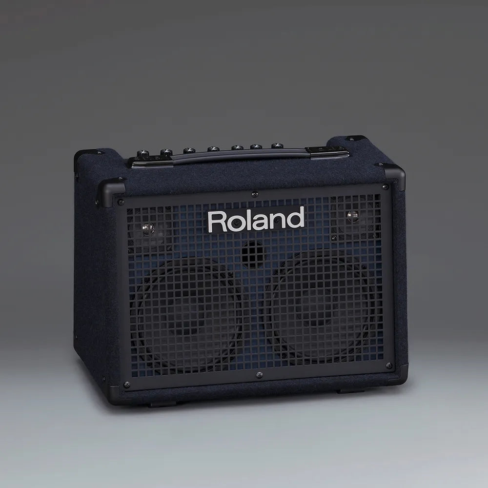 Roland Kc220 Amplificador TecladoEstereo A Pilas 2x6.5" X2 30w