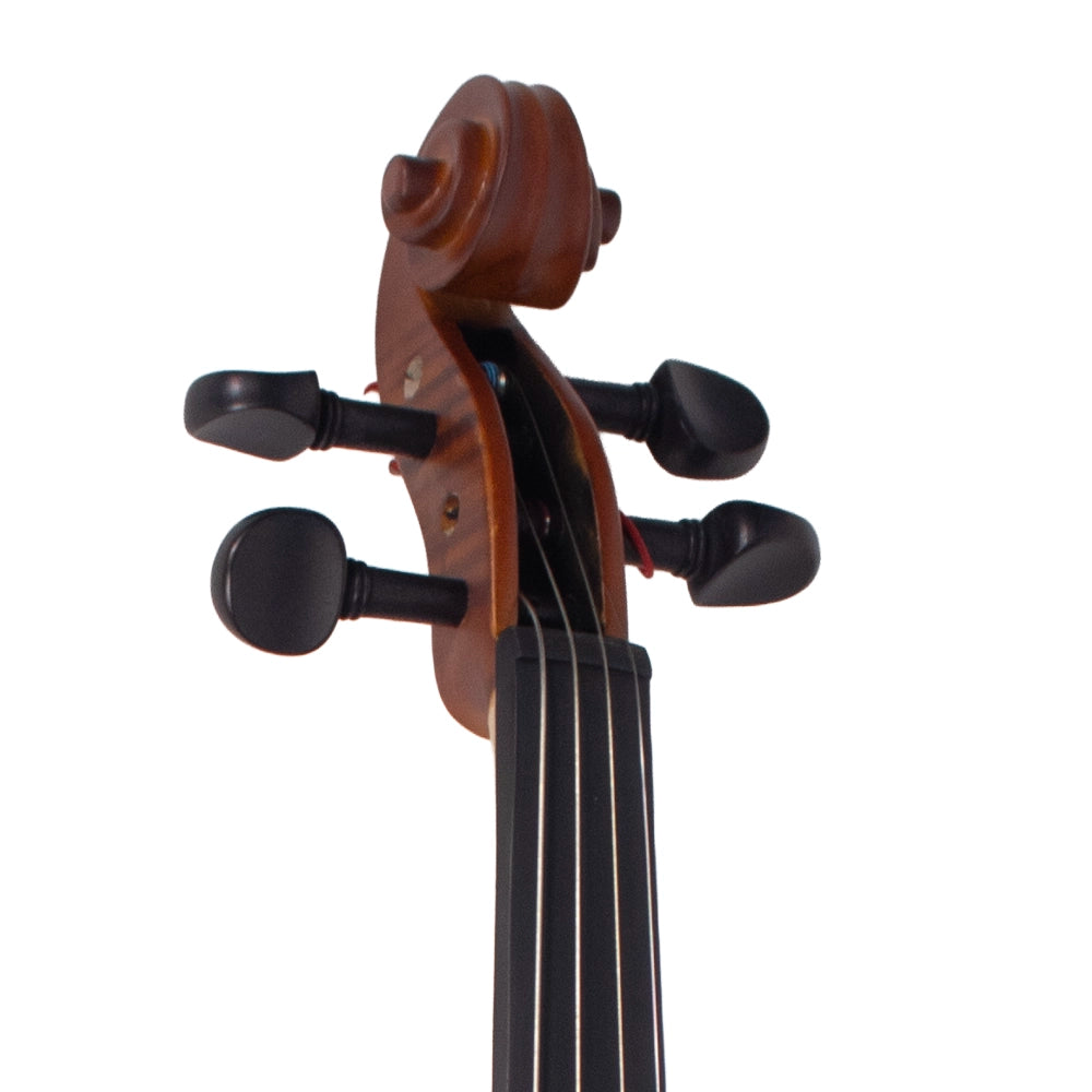 Pearl River Mv212 Violín 4/4 Profesional Flame Maple Ebano