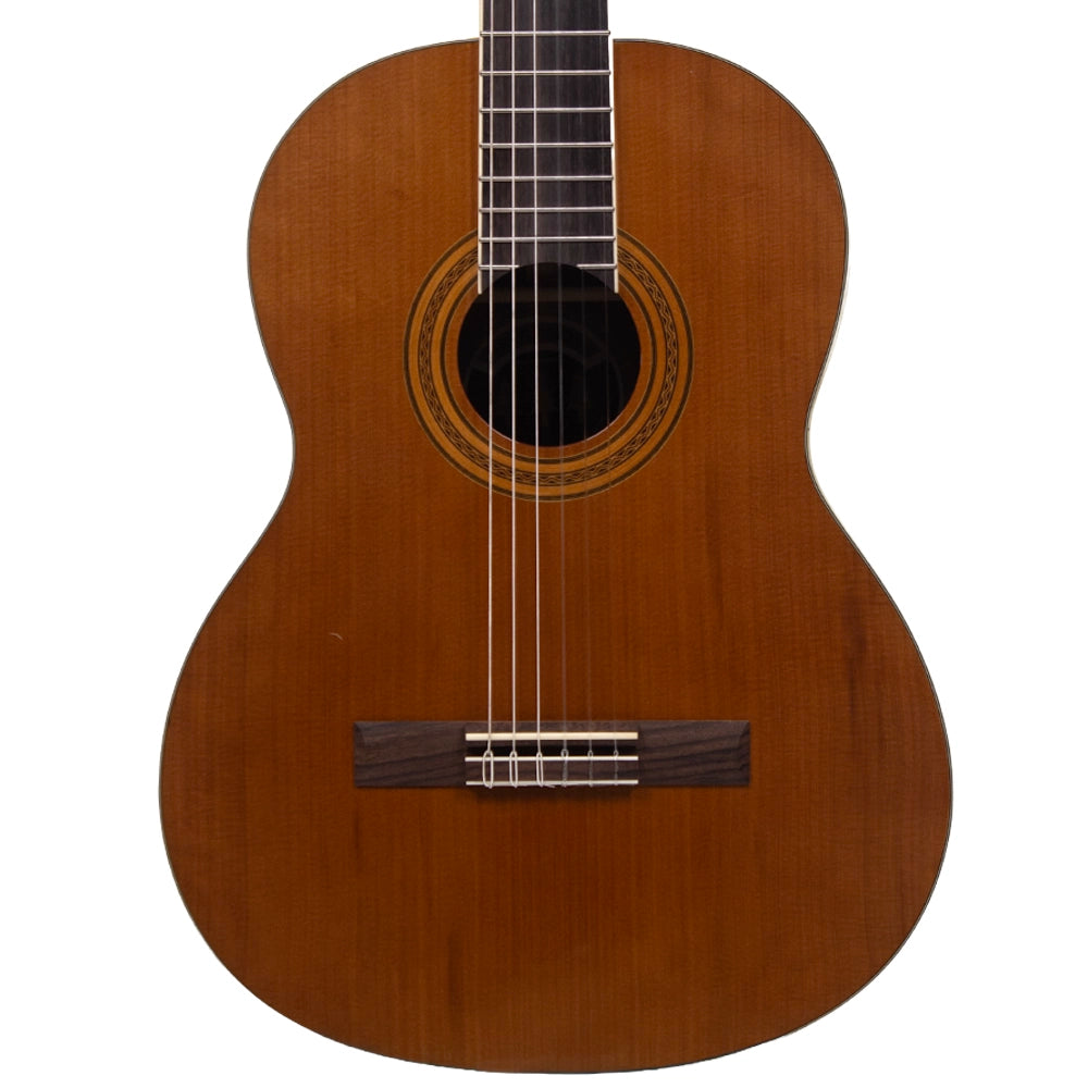 Tres Pinos TPCG0900NT Guitarra Acústica Natural