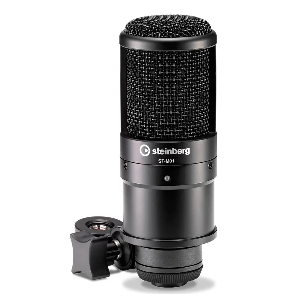 Steinberg Ur12Bpspack Paquete Grabación